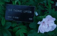 sir-thomas-lipton