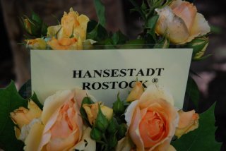 hansestadt-rostock