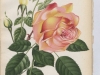 louis-leveque-1896-7