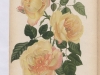 marguerite-de-fenelon-1890-1