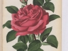 oscar-i-roi-de-suede-1889-12
