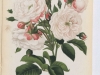 princesse-marie-1886-1