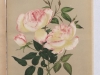souvenir-de-rosierist-rambaux-1884-2